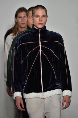 Palmiers Du Mal Şov