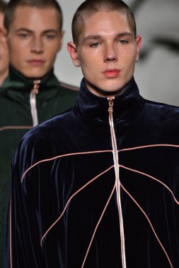 Palmiers Du Mal Şov