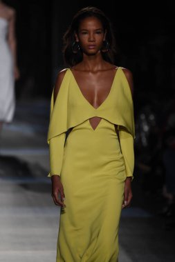  Cushnie Et Ochs koleksiyonu