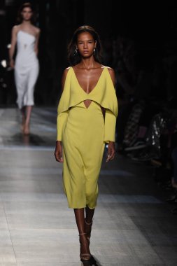  Cushnie Et Ochs koleksiyonu