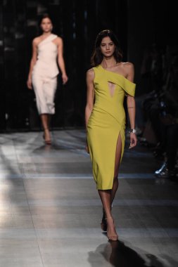  Cushnie Et Ochs koleksiyonu