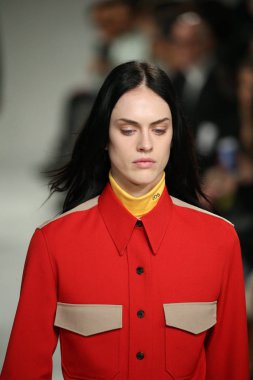 calvin klein koleksiyonu 