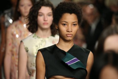 calvin klein koleksiyonu 