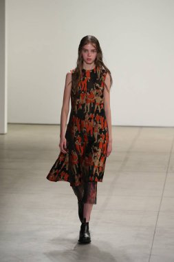  Rüzgar canlıların göster