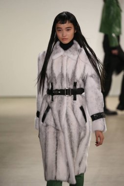  Rüzgar canlıların göster