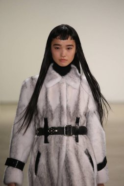  Rüzgar canlıların göster