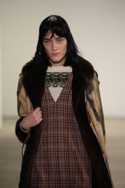  Rüzgar canlıların göster