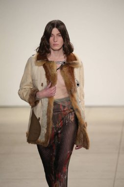  Rüzgar canlıların göster