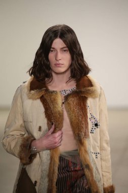  Rüzgar canlıların göster