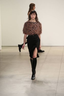  Rüzgar canlıların göster