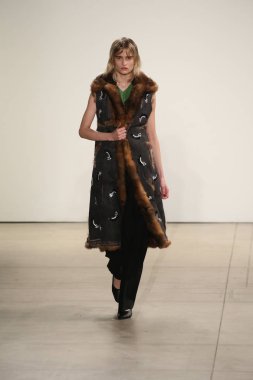  Rüzgar canlıların göster