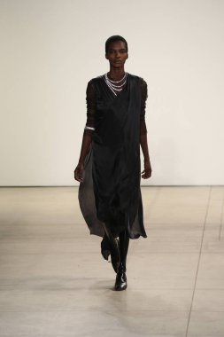  Rüzgar canlıların göster