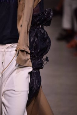 Feng Chen Wang pist gösterinin