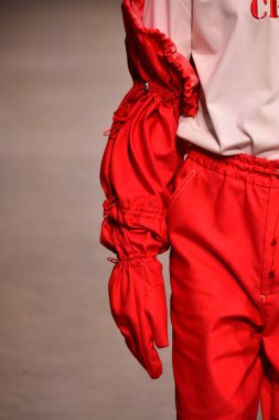 Feng Chen Wang pist gösterinin