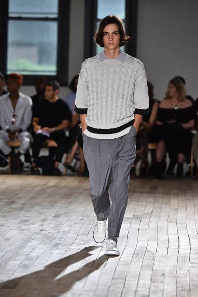 (名) Hoolywood 滑走路、Nyfw — ストック写真