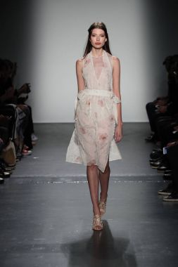  Lisa N. Hoang bahar 2018