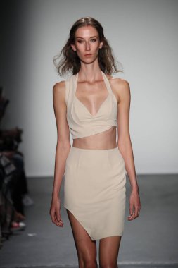  Lisa N. Hoang bahar 2018