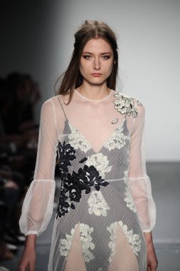  Lisa N. Hoang bahar 2018