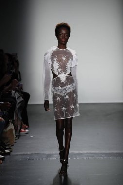 Lisa N. Hoang defile