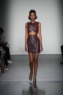 Lisa N. Hoang defile