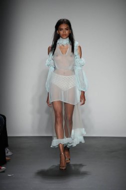 Lisa N. Hoang defile