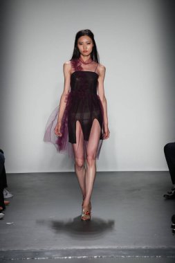 Lisa N. Hoang defile