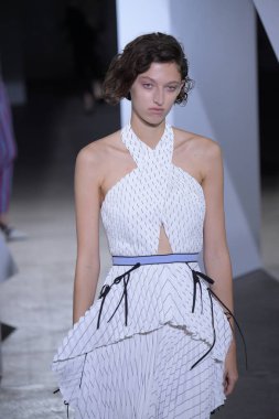  Kendi portresi defile