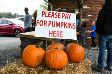 Şükran günü için malzeme çekme kabaklar