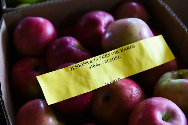 Mccintosh Appleas Gospodarstwie Upstate — Zdjęcie stockowe