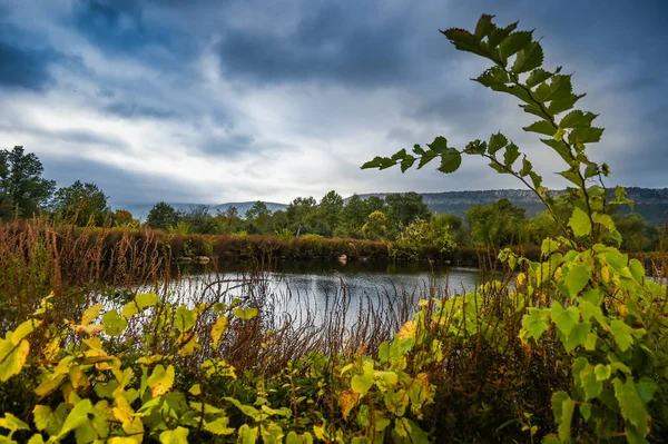 tarımsal su birikintisi taşrada Ny elma bahçeleri