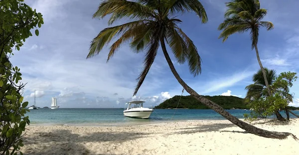 Piękna Tropikalna Biała Plaża Palmy Kokosowe Koncepcja Wakacji Wakacji — Zdjęcie stockowe