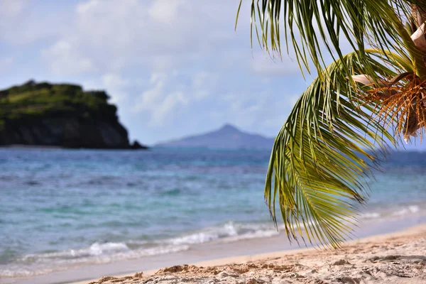 Exotisch Eiland Met Witte Zandstranden Tropische Strand Palm Tree Zonnige — Stockfoto