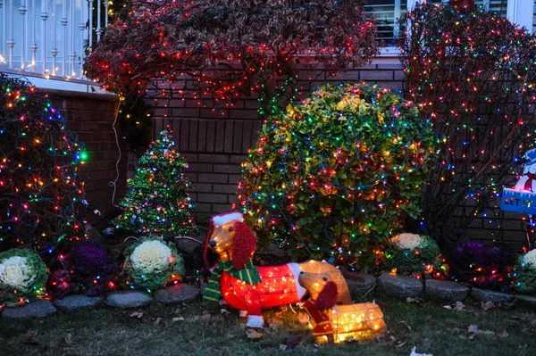 Brooklyn New York Joulukuu 2017 Dyker Heights Jouluvalot Söpöin Pieni — kuvapankkivalokuva