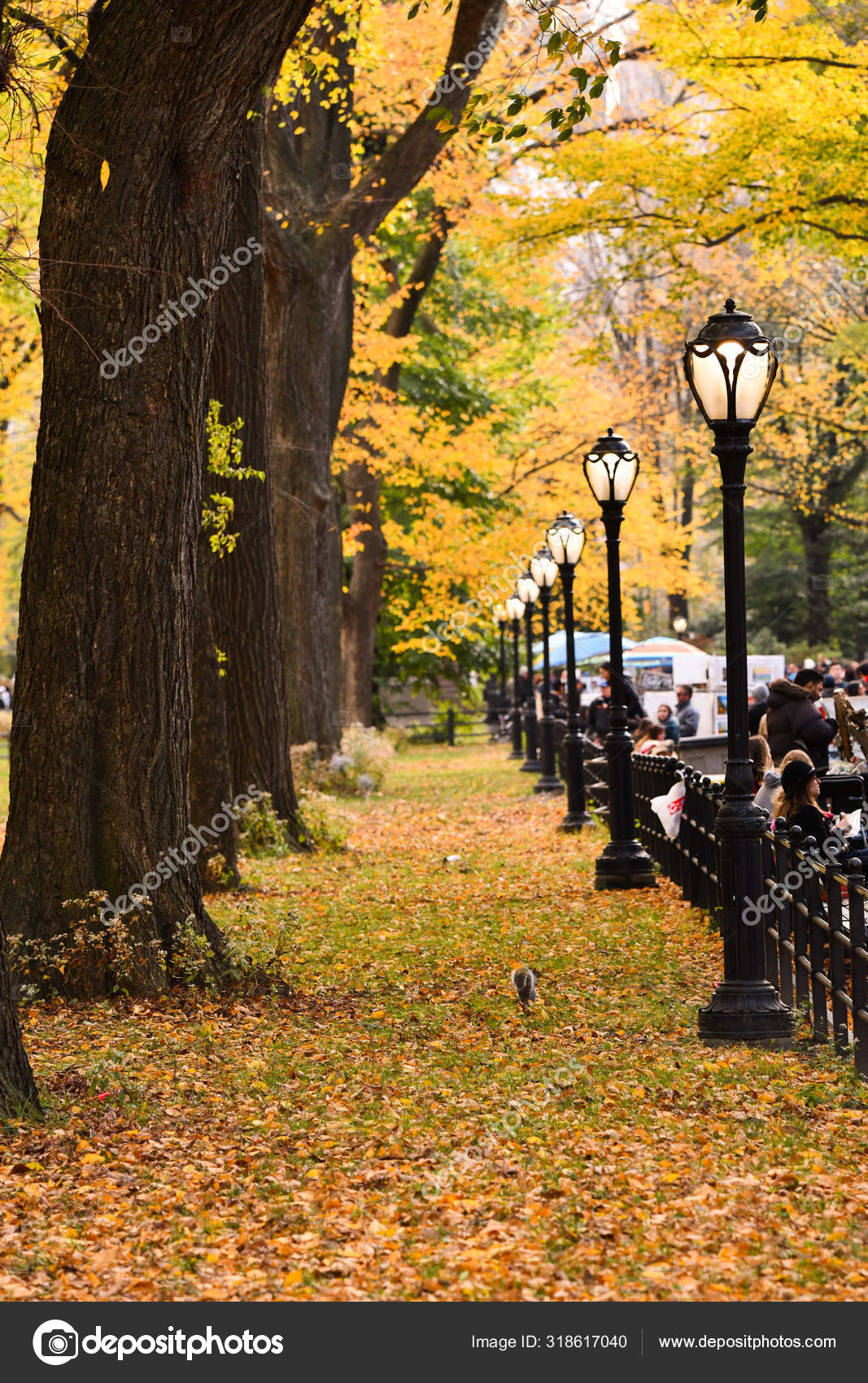 落下シーン 美しい紅葉の公園 美しさの自然のシーン 秋の風景 木や葉っぱ — ストック編集用写真©fashionstock#318617040, image size:1067x1700
