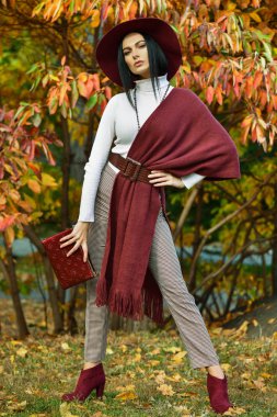 Parkta arka planda sonbahar ağacı olan güzel bir bayanın açık hava fotoğrafı.. 