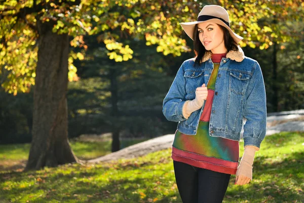 Kaunis Nuori Nainen Syksyllä Puistossa Aurinkoisena Päivänä — kuvapankkivalokuva