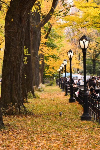 Autumn Fall Scene Beautiful Autumnal Park Beauty Nature Scene Autumn — Stock Photo, Image