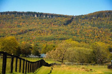 Colorful fall foliage in the autumn season of upstate New York. clipart