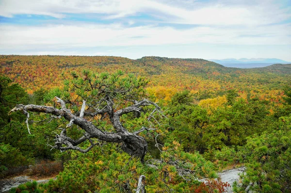 Bovenaanzicht Vanaf Berg Herfstlandschap — Stockfoto