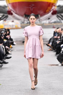 JAMAICA, NEW YORK - Şubat 06: DHL JFK Havalimanı 'ndaki Jessica Minh Anhs 