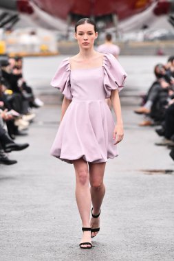 JAMAICA, NEW YORK - Şubat 06: DHL JFK Havalimanı 'ndaki Jessica Minh Anhs 