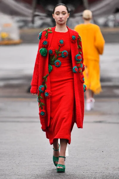 JAMAICA, NEW YORK - 06 Şubat 2020 'de DHL JFK Havalimanı' nda Jessica Minh Anhs Moda Fuarı sırasında VUNGOC ve Oğlu için podyumda bir model yürüyor 