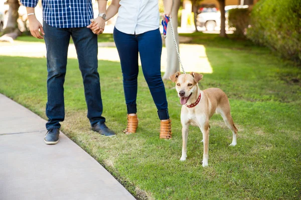 若いカップルの犬の散歩 — ストック写真