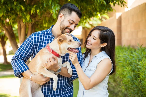 Couple caressant leur chien — Photo