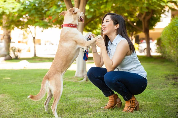 Woman holding hands with  dog — Stock Photo, Image