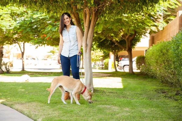 Mujer joven paseando a su perro —  Fotos de Stock
