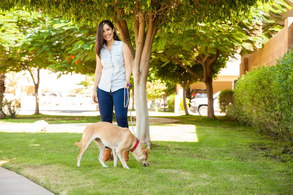 Jovem mulher caminhando seu cão — Fotografia de Stock