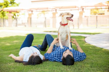 Genç çift çimlerin üzerinde yatıyor. 