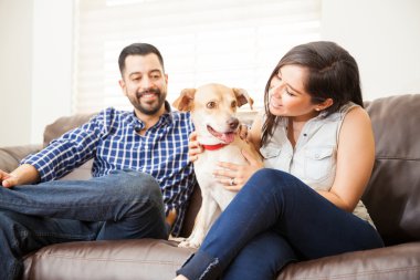 Genç çift onların köpek sevişme