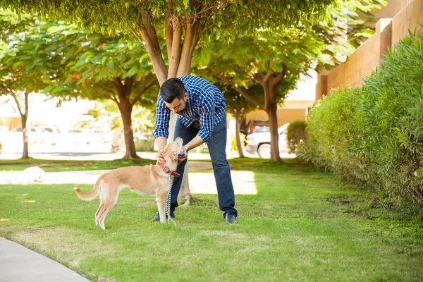 Uomo prendendo il suo cane per una passeggiata — Foto Stock